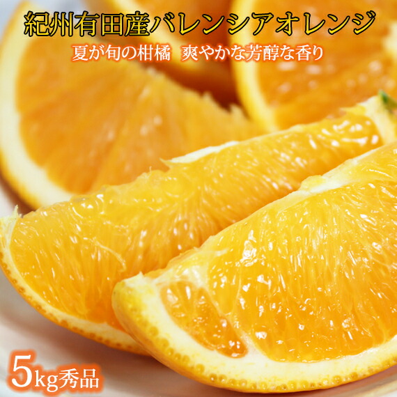 【ふるさと納税】秀品 希少な国産バレンシアオレンジ 5kg ※2025年6月下旬～7月上旬頃に順次発送予定