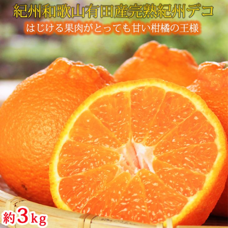 【ふるさと納税】果肉プリプリ♪　完熟紀州デコ(不知火) 約3kg ※2026年2月下旬～3月下旬頃に順次発送予定