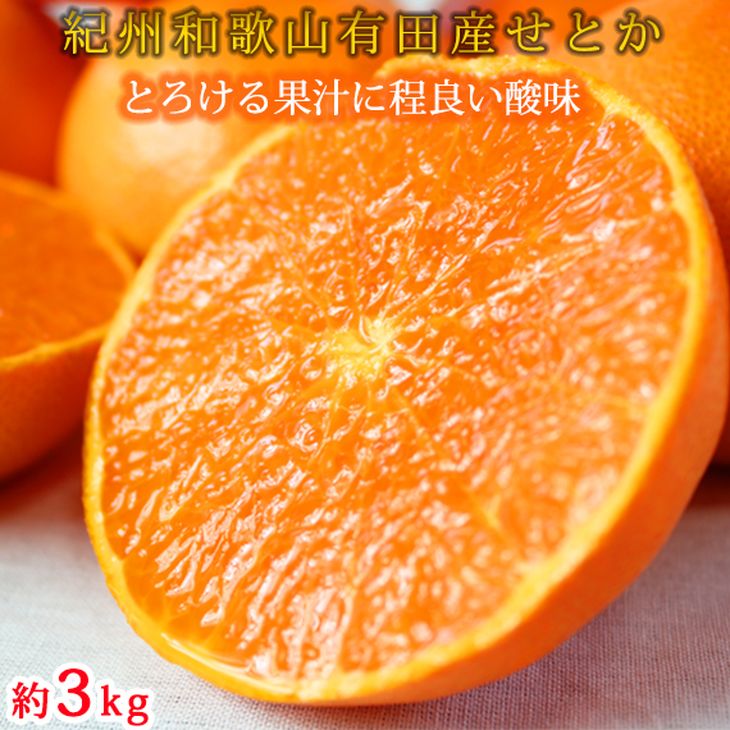 【ふるさと納税】とろける食感!ジューシー柑橘 せとか 約3kg ※2026年2月下旬～3月下旬頃に順次発送予定