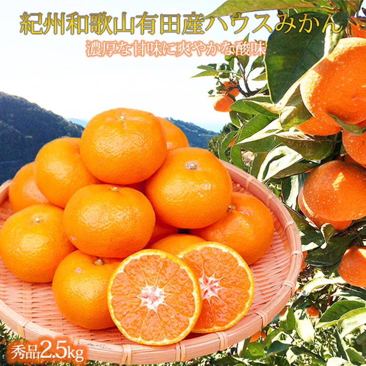 【ふるさと納税】紀州和歌山有田産ハウスみかん 2.5kg 化粧箱入 ふるさと納税 ミカン ※2025年6月下旬頃～2025年7月中旬頃に順次発送予定