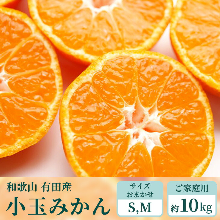 【楽天市場】【ふるさと納税】＜2022年11月より発送＞家庭用 完熟有田みかん 8kg＋240g（傷み補償分）【たっぷり訳ありみかん・わけあり】【 光センサーで糖度・腐りチェック】※北海道・沖縄・離島への配送不可 : 和歌山県美浜町