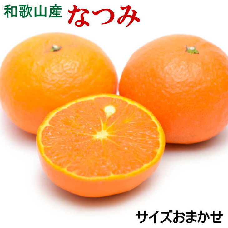 【ふるさと納税】【希少柑橘】和歌山県産なつみ約5kg（S～2Lサイズおまかせ） ※2026年4月上旬～4月下旬頃に順次発送予定