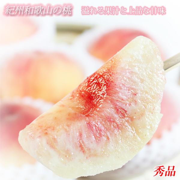 【ふるさと納税】紀州和歌山産の桃 約1.8kg 化粧箱入◇ ｜ もも モモ 桃 国産 フルーツ 果物 果実 産地直送 お取り寄せ ギフト デザート スイーツ 贈り物 ※2025年6月下旬～8月上旬頃に順次発送予定