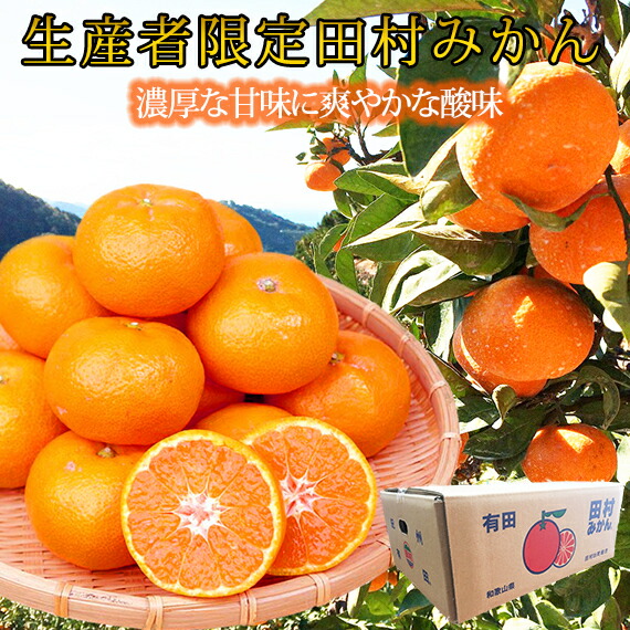 【ふるさと納税】高級ブランド田村みかん １０kg◇ ※2025年11月下旬～2026年1月下旬頃に順次発送予定 ふるさと納税 ミカン