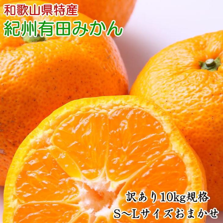 訳ありご家庭用 和歌山有田みかん10kg S〜Lサイズいずれかお届け ※2022年11月中旬〜2023年1月中旬頃に順次発送予定