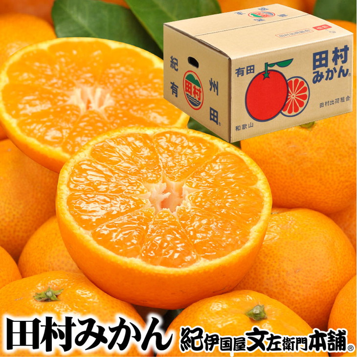 【ふるさと納税】田村みかん/特選ギフト品3kg【サイズおまかせ】赤秀/湯浅町田村地区産/産地直送/最高級プレミアムブランドの田村ミカン/紀伊国屋文左衛門本舗<br>※2025年11月下旬～2026年1月中旬頃に順次発送予定
