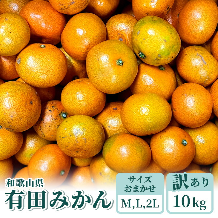 訳あり 和歌山有田みかん約10kg MかLか2Lサイズいずれかおまかせ ミカン 柑橘  フルーツ※2022年10月下旬頃〜2023年1月中旬頃に順次発送予定 高品質