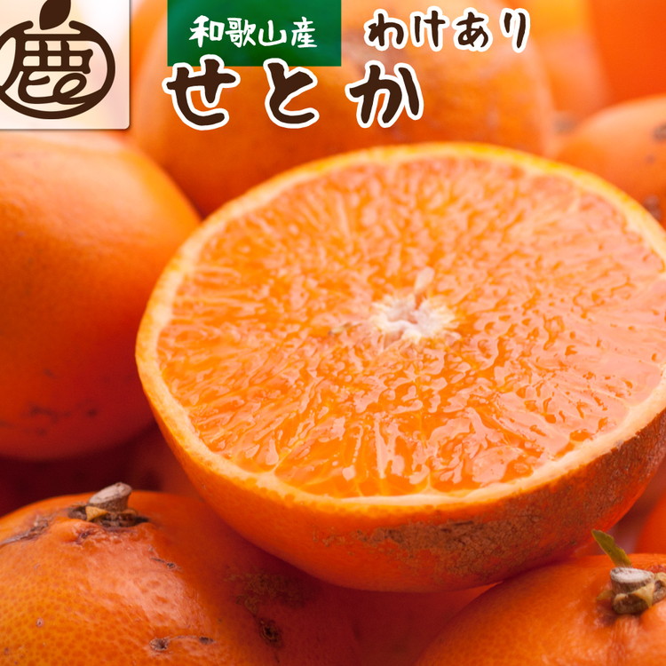 avec des fleurs様　訳ありまどんな8kg＋南柑20号小玉4.5kg 楽天市場】【ふるさと納税】 訳あり せとか 5kg マル南フルーツ
