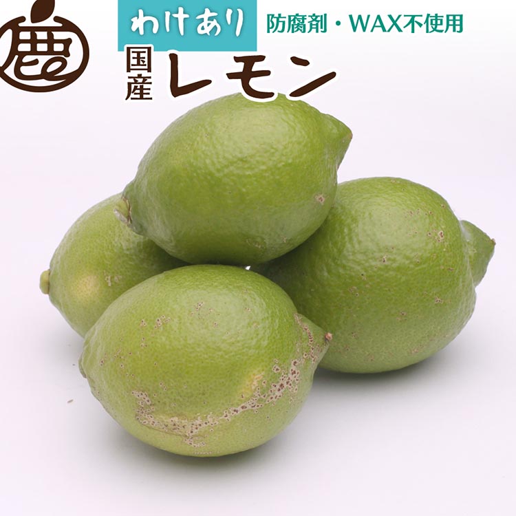 【ふるさと納税】【選べる内容量】＜9月より発送＞家庭用 レモン（傷み補償分）【和歌山有田産】【防腐剤・WAX不使用、安心の国産レモン】【わけあり・訳ありレモン】 ※北海道・沖縄・離島への配送不可 ※2025年9月中旬～2026年4月下旬頃に順次発送予定
