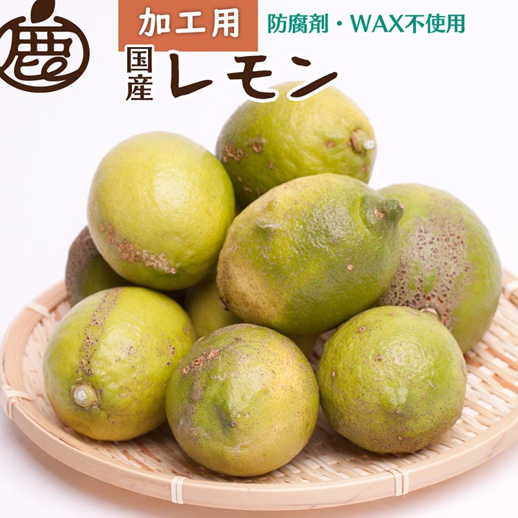 【ふるさと納税】【選べる内容量】＜9月より発送＞加工用 レモン【和歌山有田産】【防腐剤・WAX不使用、安心の国産レモン】【わけあり・訳ありレモン】 ※北海道・沖縄・離島への配送不可 ※2025年9月中旬～2026年4月下旬頃に順次発送予定