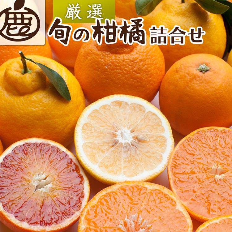 【ふるさと納税】＼選べる内容量／＜1月より発送＞厳選 柑橘詰合せ｜有田の春みかん詰め合わせ・フルーツ詰め合せ・オレンジつめあわせ【光センサー選別】