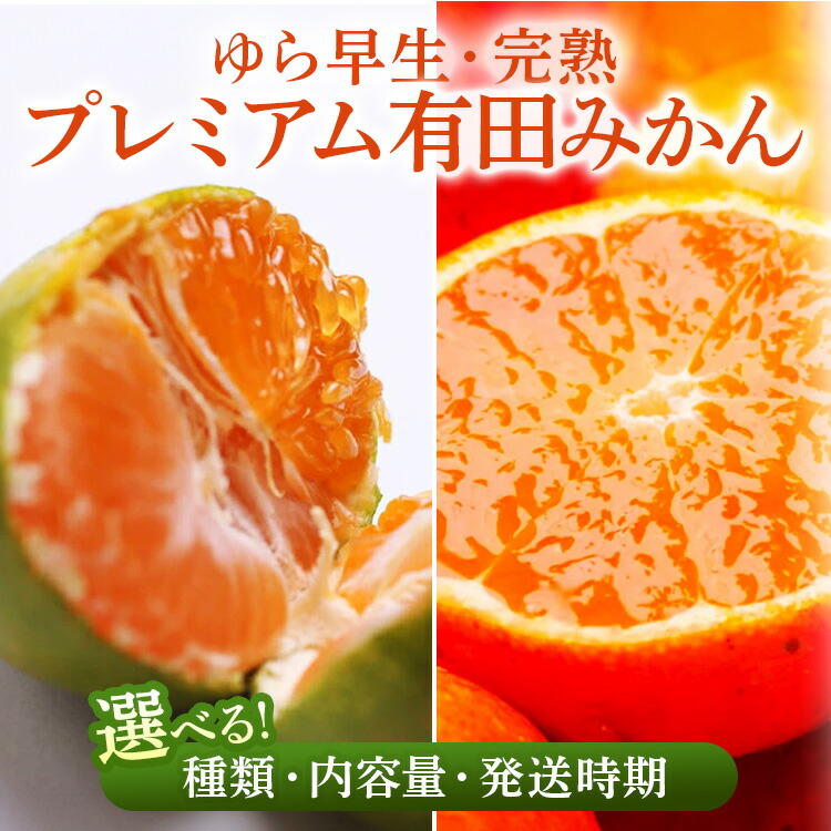 【ふるさと納税】【選べる 種類・内容量・発送時期】 ゆら早生/完熟 プレミアム有田みかん ｜ 柑橘 果物 フルーツ 糖度 甘い 濃厚 コク ジューシー 光センサー ※北海道・沖縄・離島への配送不可