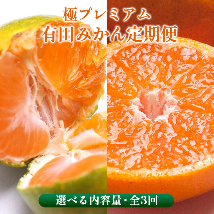 楽天市場】【ふるさと納税】〈定期便〉【10・11・12月 全3回】＼選べる