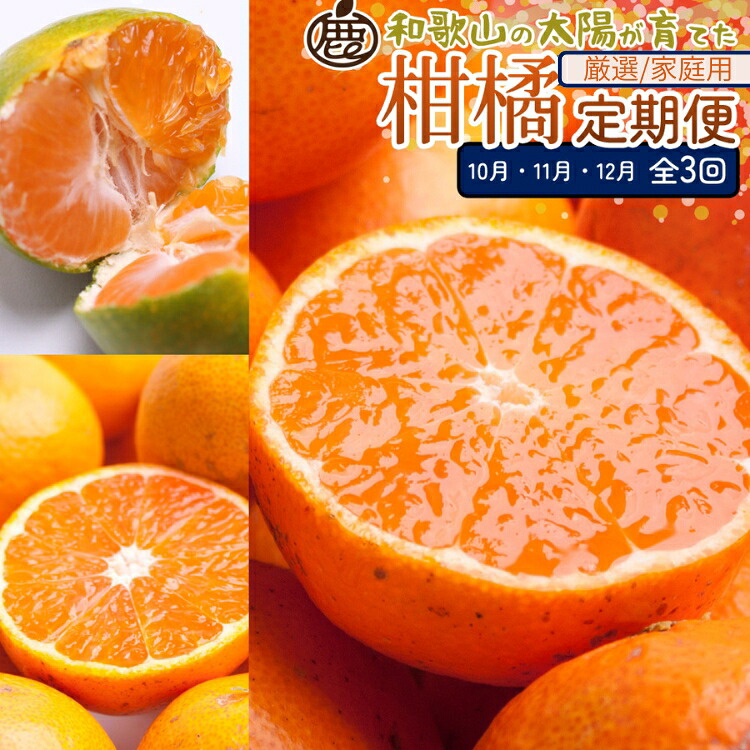 【ふるさと納税】【定期便】柑橘定期便SS 3回（10～12月）※北海道・沖縄・離島への配送不可※10月・11月・12月に発送｜和歌山県美浜町