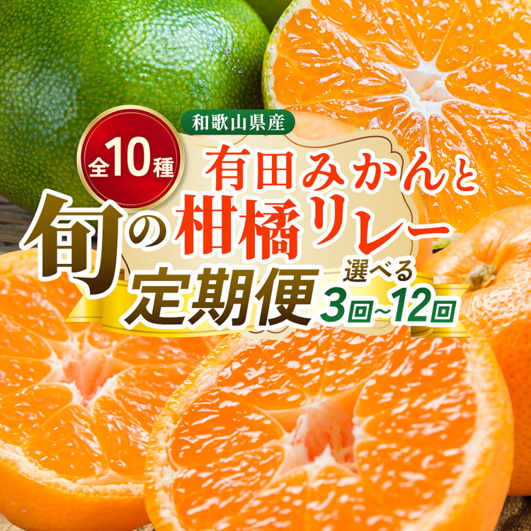 【ふるさと納税】【定期便】\選べる回数/柑橘定期便 S※北海道・沖縄・離島への配送不可|和歌山県美浜町