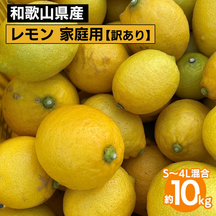 【ふるさと納税】和歌山産 レモン 家庭用 10kg S～4L混合【訳あり】 ※2026年1月中旬～3月下旬頃に順次発送予定 ※北海道・沖縄・離島への配送不可