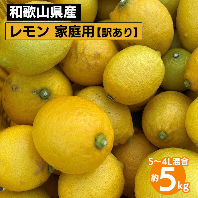 【ふるさと納税】和歌山産 レモン 家庭用 5kg S～4L混合 訳あり ※2026年1月中旬～3月下旬頃に順次発送予定 ※北海道・沖縄・離島への配送不可