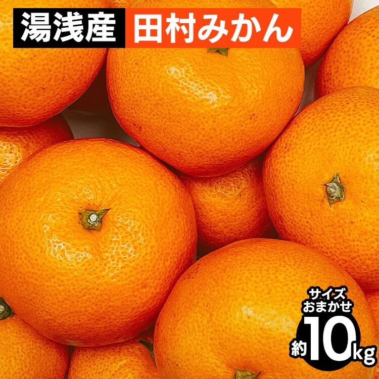 【ふるさと納税】【先行予約】 田村みかん 10kg サイズおまかせ 和歌山 湯浅町 田村地区産|和歌山県美浜町