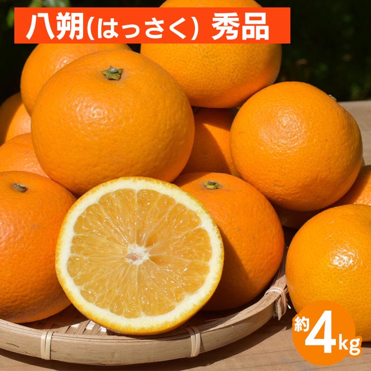 【ふるさと納税】和歌山県産 八朔 4kg 秀品 ※2026年1月上旬～3月下旬頃に順次発送予定