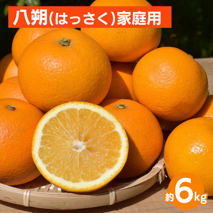 【ふるさと納税】和歌山県産 八朔 6kg 家庭用 ※2026年1月上旬～3月下旬頃に順次発送予定