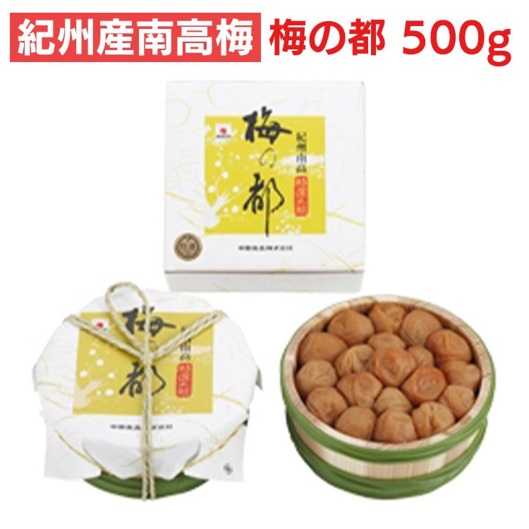 【ふるさと納税】紀州産南高梅 梅の都 500g｜和歌山県美浜町
