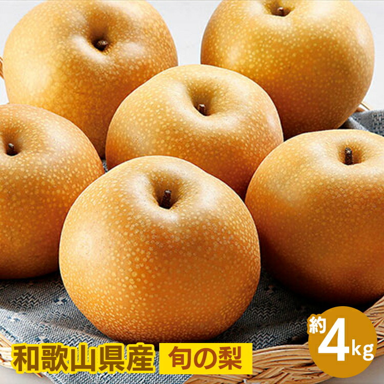 【ふるさと納税】◆先行予約◆和歌山県産 旬の梨 約4kg ※2025年8月中旬～9月中旬頃に順次発送予定 ※離島への配送不可
