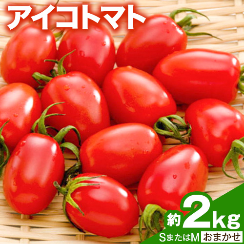 【ふるさと納税】和歌山産 ミニ トマト アイコトマト 約 2kg SまたはMサイズ サイズおまかせ 厳選館 《2025年6月上旬-7月中旬頃出荷》 和歌山県 日高町 トマト とまと アイコトマト 送料無料 【配送不可地域あり】