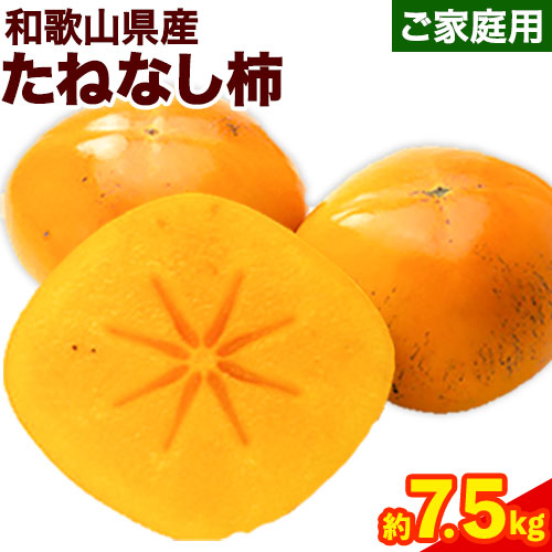 【ふるさと納税】【秋の味覚】和歌山産の たねなし柿 ご家庭用 約7.5kg 《2025年9月上旬-11月中旬頃出荷予定》 和歌山県 日高町 厳選館 かき 種なし 訳あり柿 ご家庭用柿 たねなし柿 柿 カキ 果物 フルーツ 青果