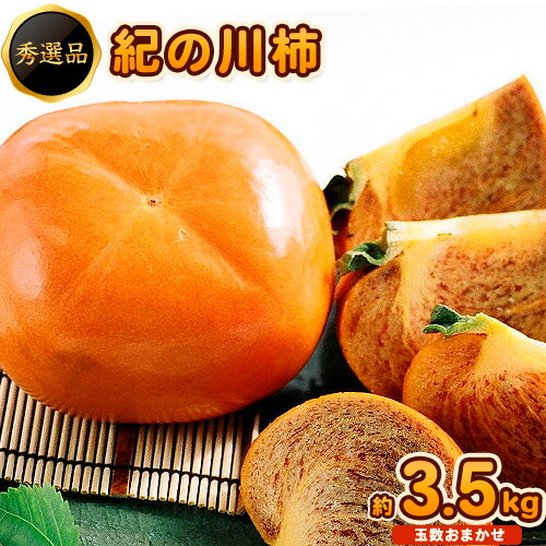【ふるさと納税】希少 紀の川柿 約3.5~4kg（種無し） 秀選品 (玉数おまかせ)  厳選館 《2025年10月中旬-11月中旬頃出荷》 和歌山県 日高町 柿 カキ かき ジューシー フルーツ 青果 果物