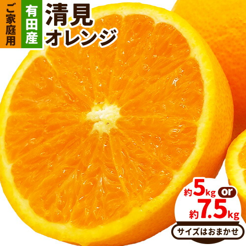 【ふるさと納税】【先行予約】【産直】有田産 清見オレンジ ご家庭用 訳あり 選べる内容量 約5kg 約7.5kg サイズおまかせ または 混合 日高町厳選館《2026年2月中旬-3月末頃出荷》和歌山県 日高町 柑橘 果物 フルーツ 清見 オレンジ  清見オレンジ 有田産