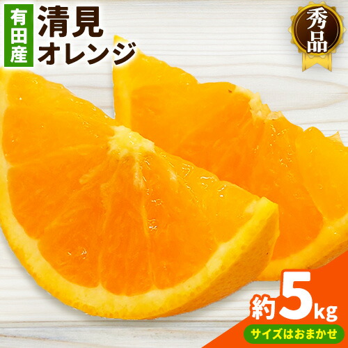 【ふるさと納税】【産直】有田産 清見オレンジ 秀品 約5kg サイズおまかせ 日高町厳選館《3月上旬-3月末頃出荷》和歌山県 日高町 柑橘 果物 フルーツ 清見 オレンジ 清見オレンジ 有田産｜和歌山県日高町