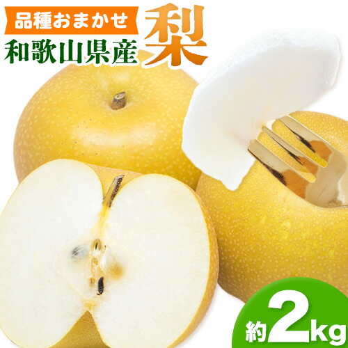 【ふるさと納税】和歌山県産の 梨 約 2kg (品種おまかせ) 厳選館《2025年8月末-10月末頃出荷》和歌山県 日高町 果物 フルーツ 梨 なし ナシ 送料無料