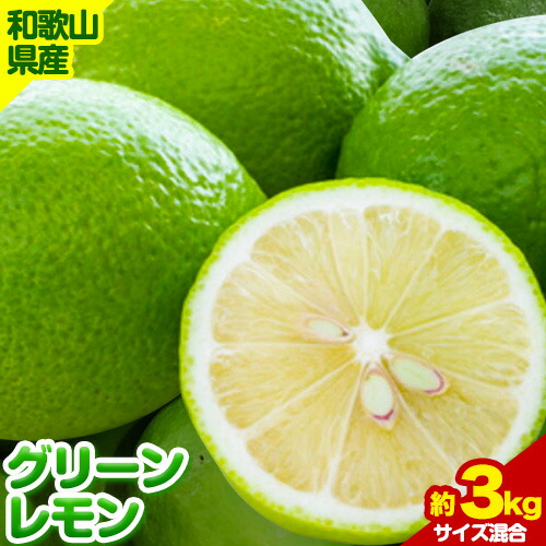 【ふるさと納税】【産直】和歌山県産グリーンレモン 約3kg (サイズ混合) 厳選館《10月下旬-10月末頃出荷》和歌山県 日高町 グリーンレモン レモン 柑橘  果物 フルーツ 和歌山県産