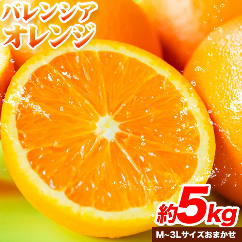 【ふるさと納税】【爽快】有田産バレンシアオレンジ 約5kg(M～3Lサイズおまかせ) 厳選館 《2025年6月中旬-6月下旬頃出荷》和歌山県 日高町 オレンジ 柑橘 フルーツ 果物