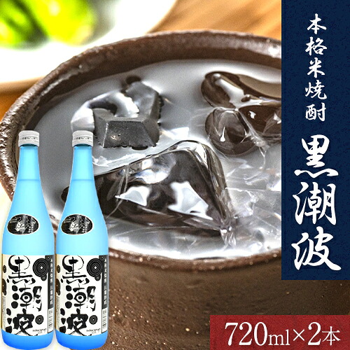 【ふるさと納税】本格米焼酎 黒潮波 (くろしおなみ) 720ml×2本 厳選館《90日以内に出荷予定(土日祝除く)》 和歌山県 日高町 酒 本格米焼酎 焼酎 米焼酎|和歌山県日高町
