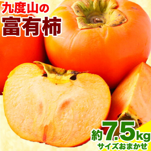 【ふるさと納税】 柿 の名産地 九度山の富有柿 約 7.5kg サイズおまかせ 厳選館《2025年11月上旬-12月下旬頃出荷》和歌山県 日高町 柿 カキ フルーツ ジューシー