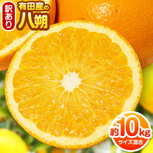 【ふるさと納税】【手選果・訳あり】有田産の八朔 10kg（サイズ混合） 厳選館 《2027年1月下旬-2月下旬頃出荷》和歌山県 日高町 はっさく 訳ありはっさく ハッサク