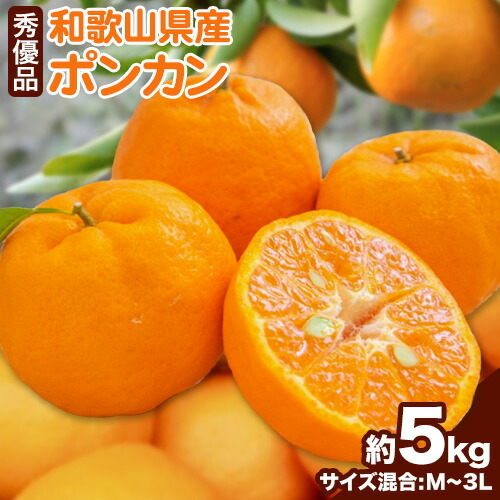 【ふるさと納税】和歌山県産ポンカン 約 5kg 秀優品 (M～3Lサイズ混合) 厳選館 《2月上旬-3月末頃出荷》和歌山県 日高町 柑橘 ポンカン ぽんかん フルーツ 秀品 優品