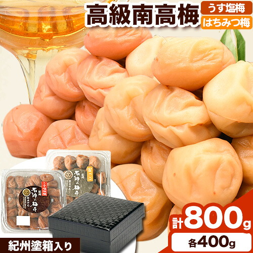 【ふるさと納税】 高級 南高梅 うす塩 はちみつ梅 計800g (各400g) 網代模様仕上げ 紀州塗箱入り 澤株式会社《90日以内に出荷予定(土日祝除く)》和歌山県 日高町 送料無料 梅 うめ ウメ 南高梅 うすしお 蜂蜜 食べ比べ セット 紀州 お取り寄せグルメ