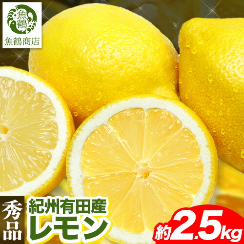 【ふるさと納税】先行予約【秀品】紀州 有田産 レモン 約 2.5kg 魚鶴商店《2026年3月上旬-3月中旬頃出荷》和歌山県 日高町 柑橘       レモン れもん lemon remon 果物 有田 はちみつレモン