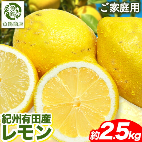 【ふるさと納税】【ご家庭用訳あり】紀州 有田産 レモン 約 2.5kg 魚鶴商店《3月上旬-3中旬頃出荷》和歌山県 日高町 柑橘 レモン れもん フルーツ 檸檬