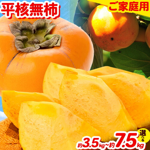 【ふるさと納税】先行予約 ご家庭用 和歌山秋の味覚 平核無柿 ( ひらたねなしがき ) 選べる 約 3.5kg 約 7.5kg 株式会社魚鶴商店《2025年10月上旬-11月上旬頃出荷》 和歌山県 日高町 柿 カキ かき たねなし ジューシー フルーツ