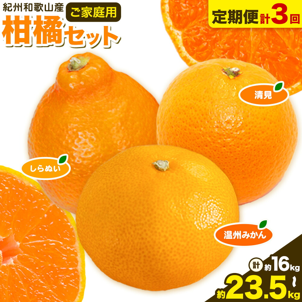 【ふるさと納税】【発送月固定定期便】紀州 和歌山産 旬の ご家庭用 柑橘 セット (みかん 不知火 清見)【全３回】選べる 計16kg 計23.5kg 株式会社魚鶴《2026年1月上旬-4月上旬頃出荷》 和歌山県 日高町 みかん 不知火 清見 オレンジ 柑橘 蜜柑 果物 訳あり 送料無料 定期便