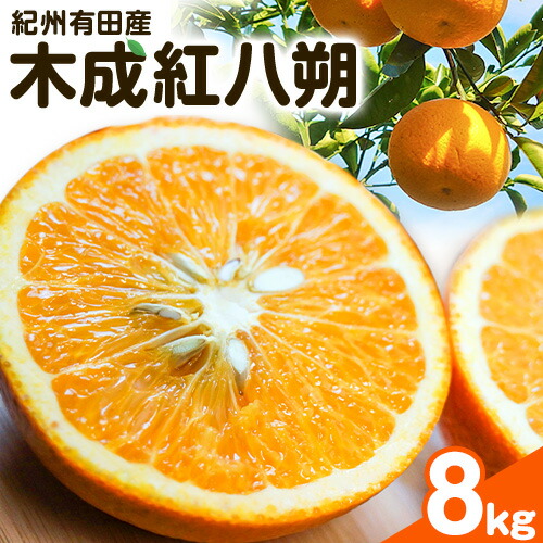 【ふるさと納税】【2026年先行予約】紀州和歌山産 木成紅八朔 8kg 株式会社魚鶴商店(大鶴商店)《2月末-4月上旬頃出荷》和歌山県 日高町 紀州和歌山産 木成紅八朔 はっさく ハッサク 八朔 紅八朔 柑橘 果物 フルーツ