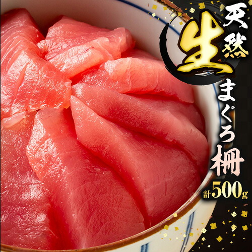 【ふるさと納税】那智勝浦直送 天然生まぐろ 柵 500g 株式会社魚鶴商店《30日以内に出荷予定(土日祝除く)》 和歌山県 日高町 まぐろ 魚 マグロ 柵 海鮮 鮪 魚介 さかな