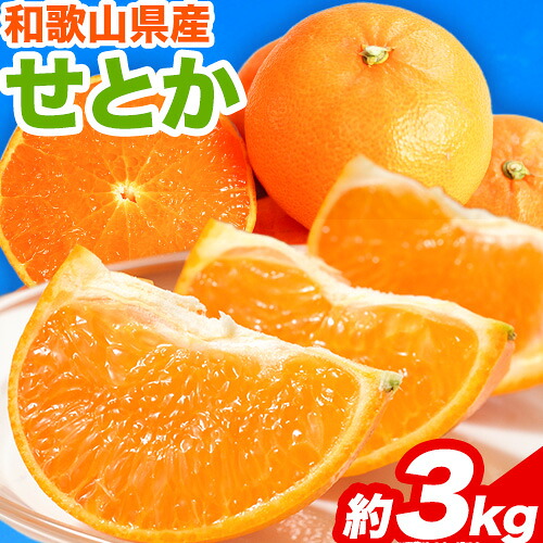 【ふるさと納税】【先行予約】とろける食感!ジューシー柑橘 せとか 約3kg 魚鶴商店 《2027年2月下旬-3月中旬頃出荷》 和歌山県 日高町 みかん 柑橘 果物 フルーツ 送料無料｜和歌山県日高町