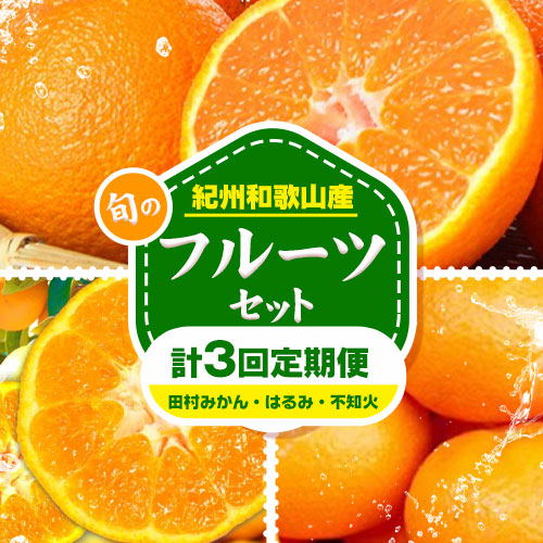 【ふるさと納税】【定期】紀州和歌山産 旬のフルーツセット(田村みかん はるみ 不知火) 約15kg 株式会社魚鶴商店《12月上旬-4月上旬頃出荷》和歌山県 日高町 不知火 はるみ みかん フルーツ｜和歌山県日高町