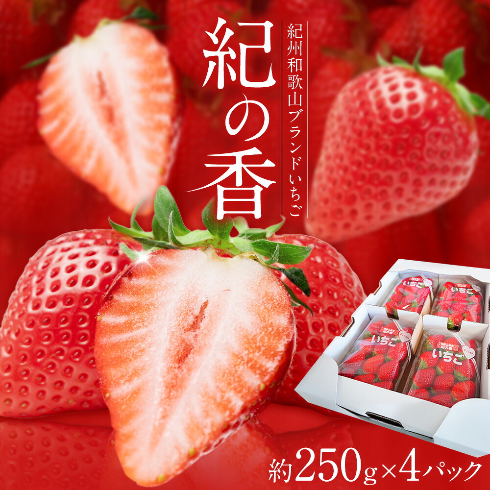【ふるさと納税】いちご イチゴ 苺 フルーツ 果物 紀州和歌山 ブランドいちご 紀の香 250g &times; 4パック 1kg 1000g 株式会社魚鶴商店《2月上旬-2月下旬頃出荷》和歌山県 日高町 スイーツ 甘い ケーキ お菓子作り｜和歌山県日高町