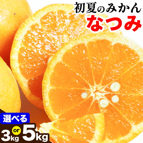 【ふるさと納税】＜先行予約＞初夏のみかん なつみ 選べる 約3kg 約5kg 株式会社 魚鶴商店《2027年4月中旬-4月下旬頃出荷》 和歌山県 日高町 みかん なつみ 南津海 柑橘 果物 フルーツ 送料無料｜和歌山県日高町