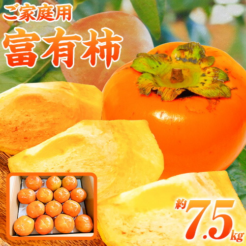 【ふるさと納税】＊先行予約＊【ご家庭用わけあり】 和歌山 秋の味覚 富有柿 約7.5kg 株式会社魚鶴商店《2025年11月上旬-12月上旬頃出荷》和歌山県 日高町 柿 富有柿 フルーツ
